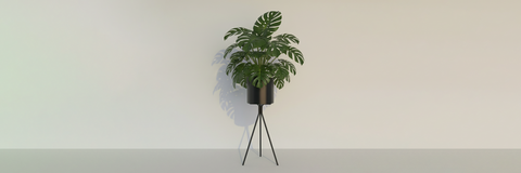 Modern Plant Pots & Planters