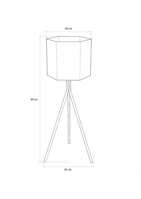 Modern hexagonal planter pot with tall elegant profile for indoor or outdoor decoration وعاء زرع سداسي مودرن بملف أنيق للمساحات الداخلية والخارجية
