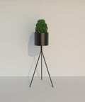 Terra Tall Cylindrical Metal Planter — styled interior view | حوض زرع تيرا المعدني الأسطواني المرتفع — ضمن تنسيق داخلي
