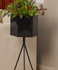 Nova Tall Hexagonal Metal Planter — product photograph | حوض زرع نوفا المعدني السداسي المرتفع — صورة للمنتج