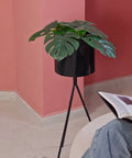 Terra Tall Cylindrical Metal Planter — product photograph | حوض زرع تيرا المعدني الأسطواني المرتفع — صورة للمنتج