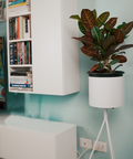 Terra Tall Cylindrical Metal Planter — product photograph | حوض زرع تيرا المعدني الأسطواني المرتفع — صورة للمنتج