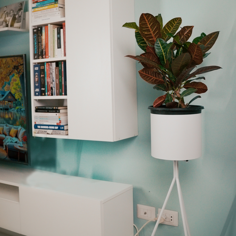 Modern minimalist terra planter pot for indoor or outdoor plants وعاء زرع تيرا مودرن بسيط للنباتات الداخلية والخارجية